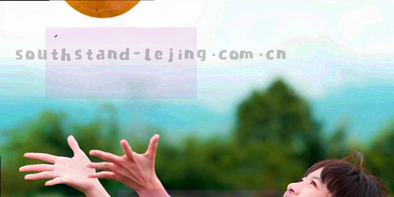 盾牌内有锁的图标，绿色轮廓黄色填充